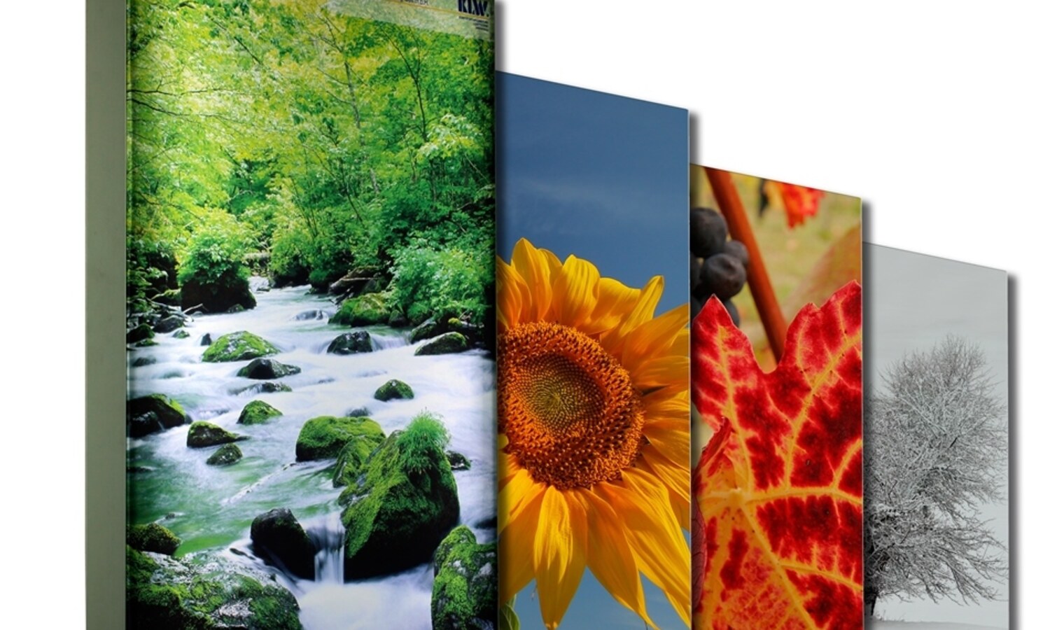 Textilspannrahmen – Collage verschiedener Naturmotive auf Spannrahmen