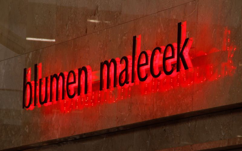 blumen malecek superflacher Rückleuchter rot