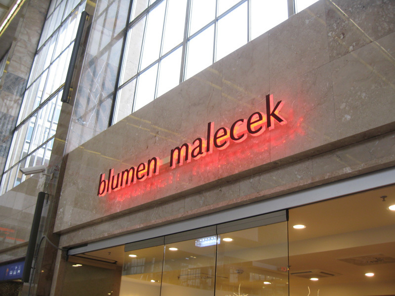 Superflache Buchstaben blumen malecek – roter Schriftzug