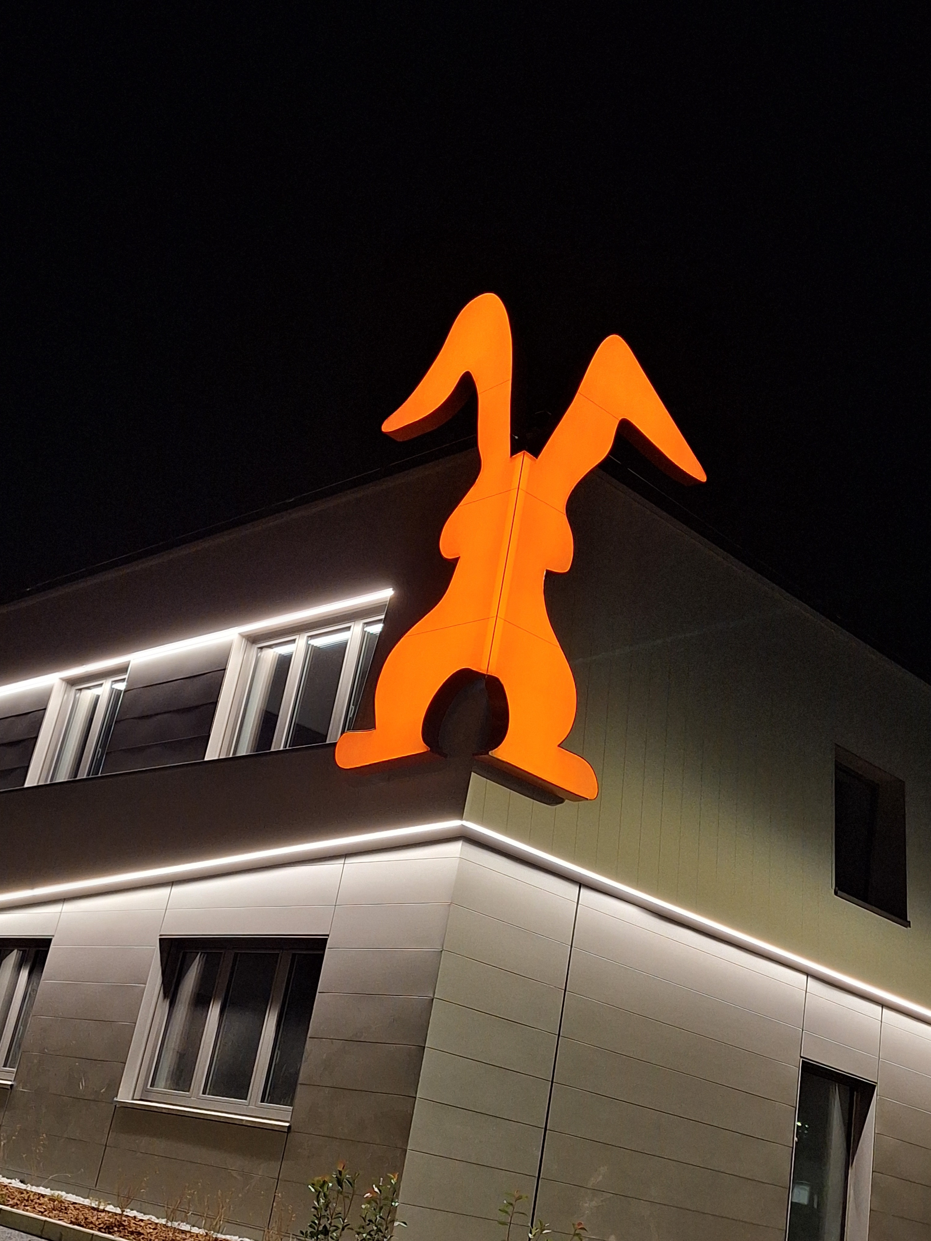 Hasenöhrl Bildlogo – Detailansicht der Fassade bei Nacht